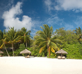 Maldivian beach