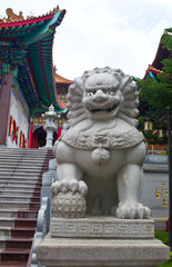 stone lion in front of temple