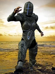 Photo sur Plexiglas Chevaliers chevalier de la croix bleue en saut de la plage