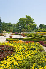 Plakat Well-groomed park with a fountain, colors, bushes and trees.