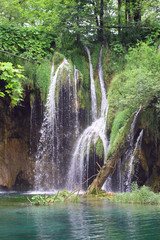 Natur Wald Wasserfall 01