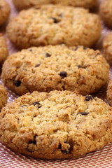 chocolate chip cookies