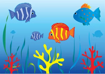  aquarium met tropische vissen © peony