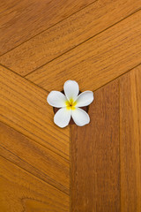 Fototapeta na wymiar white flower and teak texture background