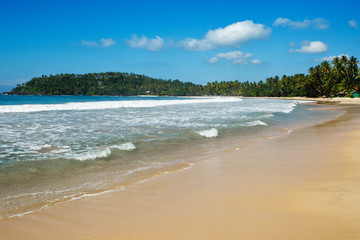 Fototapeta na wymiar Idyllic beach. Sri Lanka