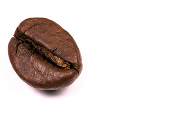 macro shot of a coffee bean, isolated on white