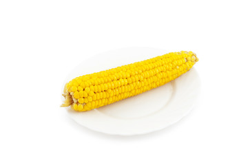 Corn on plate