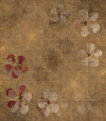 Grungy petal parchment background