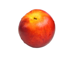 Fresh Nectarine