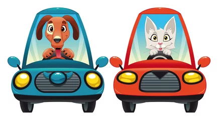 Fotobehang Animals in the car: Dog and Cat. Vector isolated characters. © ddraw