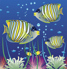 Panele Szklane  wektor akwarium i kolorowe ryby