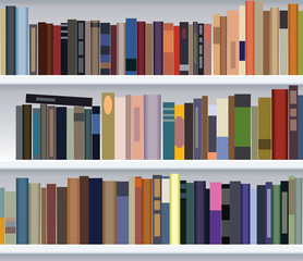 vector modern bookshelf
