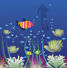 Fototapeta na wymiar underwater vector of tropical fishes and scuba diver
