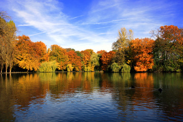 Bäume am See im Herbst