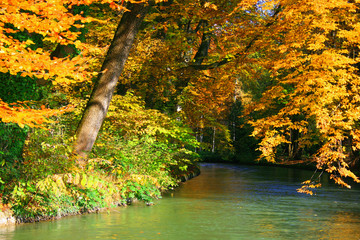 herbstlicher Bach unter Bäumen