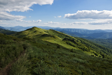 Beautiful green meadows Bieszczady i n Poland © Marek Kosmal