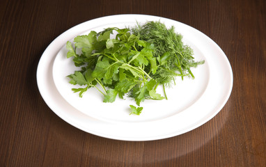 Dish with parsley and fennel