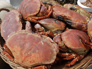 panier de crabes !