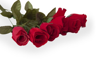 red rose freigestellt bouquet de rouges