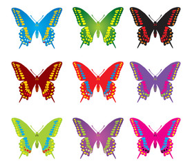 Colorful butterflyes