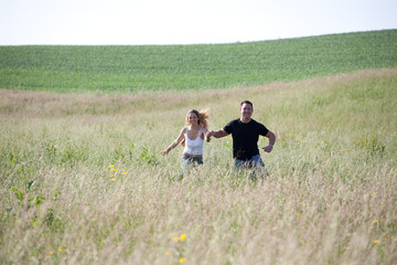 Naklejka premium Summer meadow