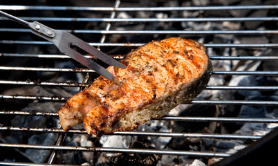 fresh salmon fillet cooking