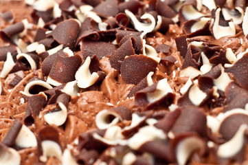 closeup of chocolate chips on icecream