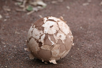 Ball