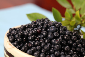 Wild blueberries
