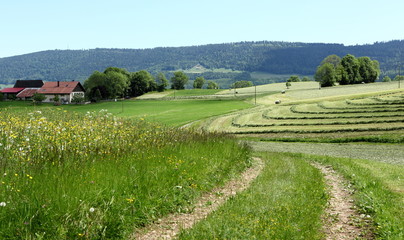 Ferme en Franche-Comté
