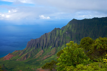 Vibrant Hawaiian Landscape