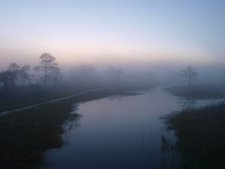 Obraz premium Pathway in Kakerdaja marsh