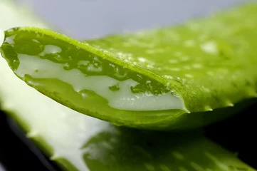 Gordijnen slice green leaf of aloe © Mee Ting