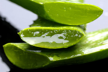 Stacked slice Fresh aloe vera