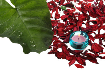 Spa  flower
