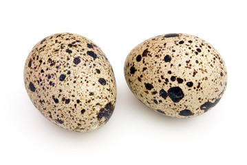 Two quail eggs
