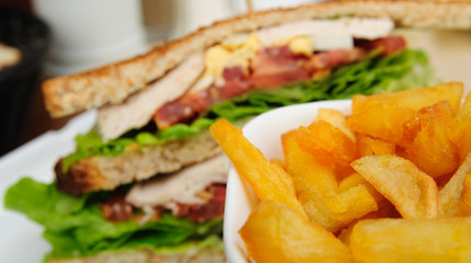 Sandwich and French fries
