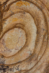 Nice stone texture background