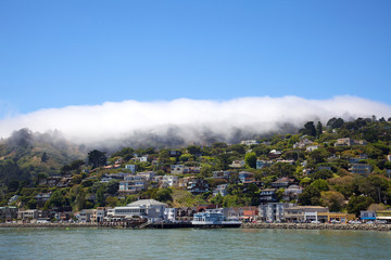 Foggy Sausalito