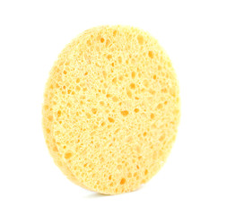 Sponge