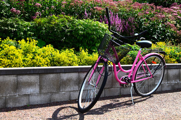 Fototapeta na wymiar pink bike in garden