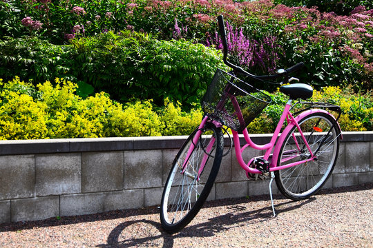 pink bike in garden