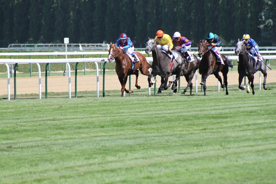 courses chevaux &agrave; deauville