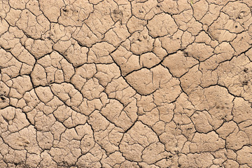 Dry and cracked earth background