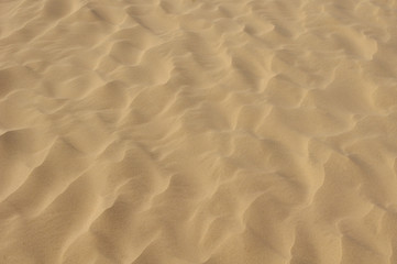 Fototapeta na wymiar sand ripple texture