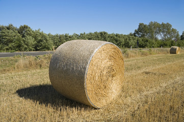 Rolling haystacks.