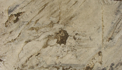 beige gray grunge background with fat worn layers of paint