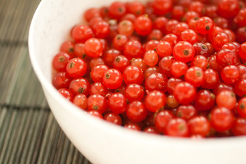 Frisch gezupfte und gewaschene Johannisbeeren