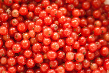 Hintergrund rote Johannisbeeren