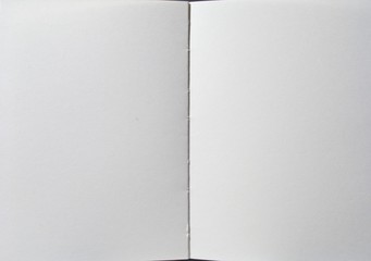 Blank book whith empty pages ready to be filled with text